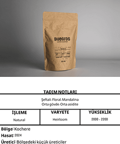 ETHIOPIA KOCHERE Gr.1